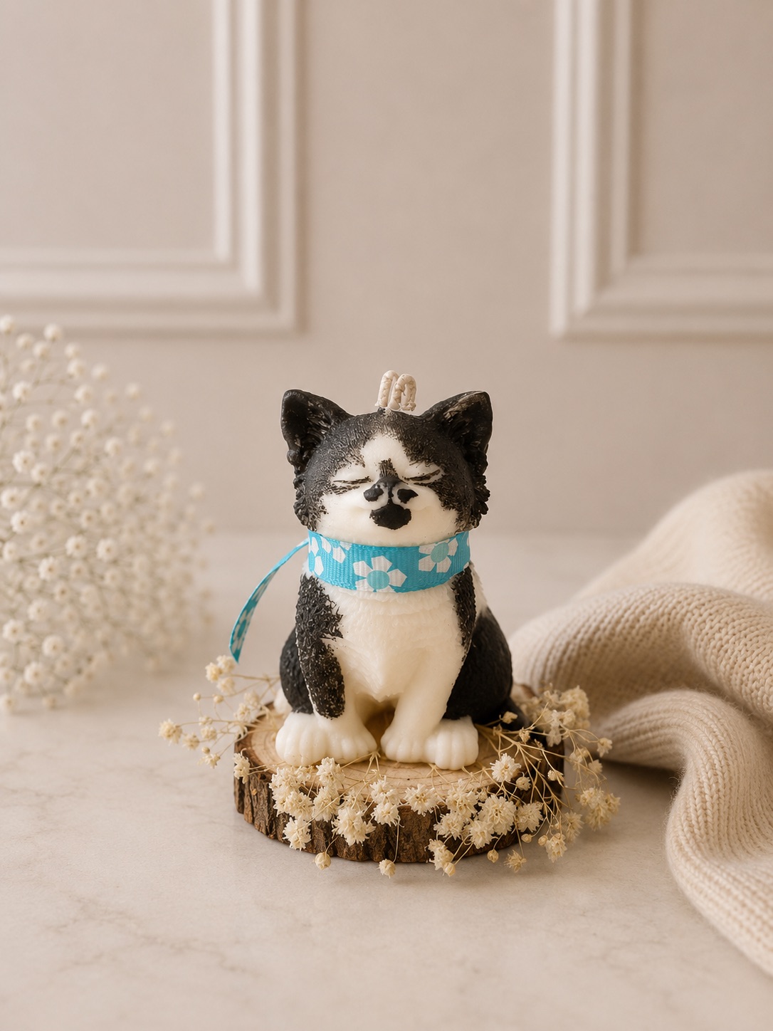 Michi (Gato)